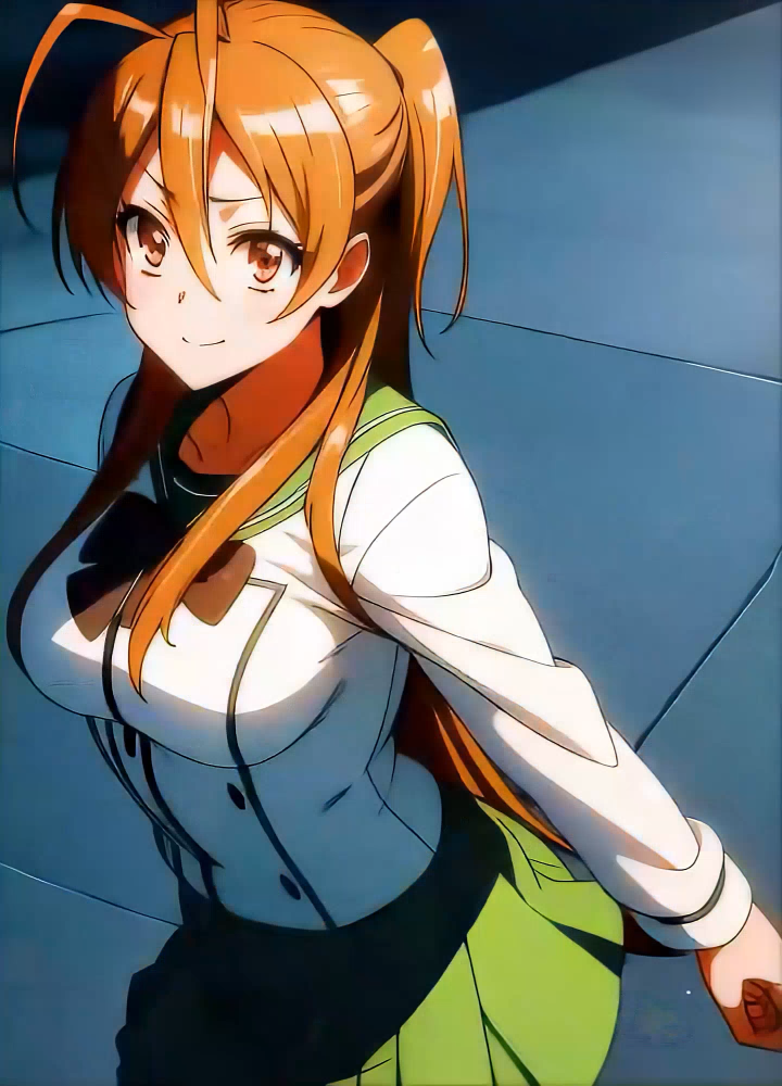 High School Of The Dead